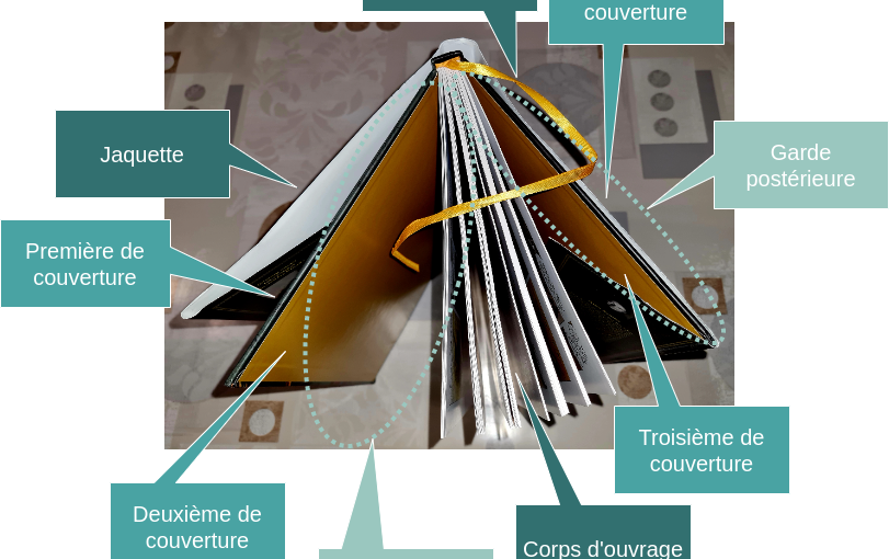 structure bd vue dessus