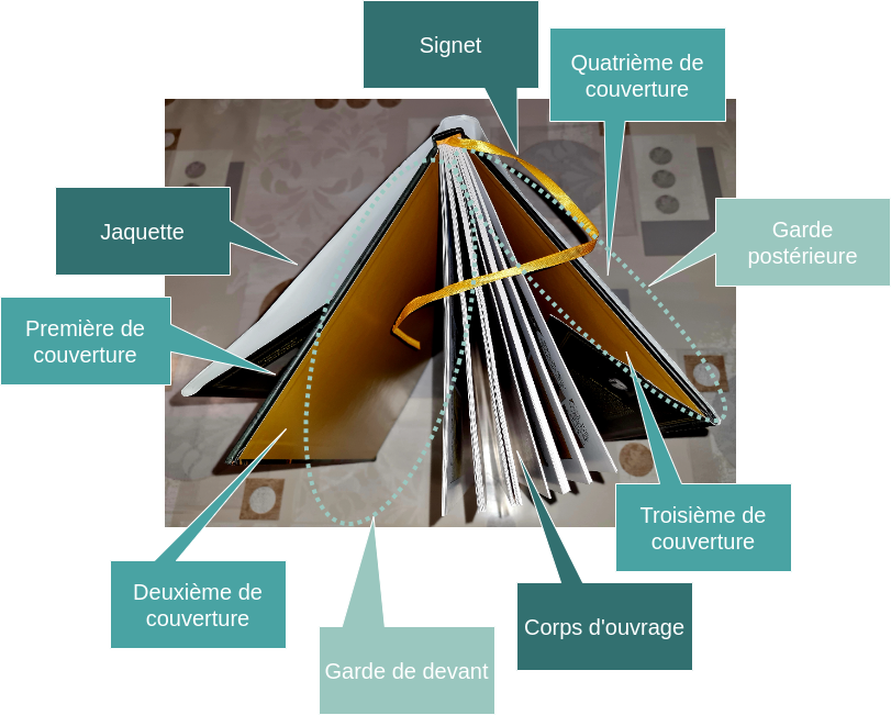 structure bd vue dessus